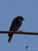Filename=079_fotowilga~63.JPG
Filesize=229KB
Dimensions=525x700
Date added=Aug 05, 2019 079_fotowilga~63.JPG