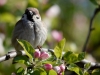 Filename=080_fotowilga~39.JPG
Filesize=250KB
Dimensions=700x525
Date added=May 02, 2017 080_fotowilga~39.JPG
