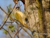 Filename=081_fotowilga~40.JPG
Filesize=129KB
Dimensions=640x480
Date added=Feb 26, 2017 081_fotowilga~40.JPG