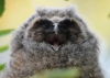 Filename=081_fotowilga~48.JPG
Filesize=229KB
Dimensions=700x500
Date added=Jun 29, 2017 081_fotowilga~48.JPG