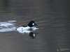 Filename=081_fotowilga~63.JPG
Filesize=248KB
Dimensions=700x525
Date added=Feb 06, 2019 081_fotowilga~63.JPG