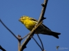 Filename=081_fotowilga~64.JPG
Filesize=191KB
Dimensions=700x525
Date added=Feb 24, 2019 081_fotowilga~64.JPG