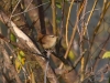 Filename=081_fotowilga~71.JPG
Filesize=337KB
Dimensions=700x525
Date added=Dec 01, 2019 081_fotowilga~71.JPG