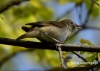 Filename=082_fotowilga~26.JPG
Filesize=71KB
Dimensions=640x457
Date added=Aug 01, 2016 082_fotowilga~26.JPG