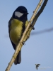 Filename=082_fotowilga~47.JPG
Filesize=187KB
Dimensions=525x700
Date added=Dec 02, 2017 082_fotowilga~47.JPG