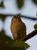 Filename=082_fotowilga~57.JPG
Filesize=190KB
Dimensions=525x700
Date added=Feb 11, 2019 082_fotowilga~57.JPG
