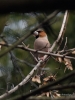 Filename=082_fotowilga~61.JPG
Filesize=249KB
Dimensions=525x700
Date added=Dec 15, 2019 082_fotowilga~61.JPG