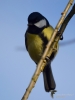Filename=083_fotowilga~50.JPG
Filesize=196KB
Dimensions=525x700
Date added=Jan 22, 2018 083_fotowilga~50.JPG