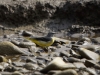 Filename=083_fotowilga~66.JPG
Filesize=328KB
Dimensions=700x525
Date added=Oct 04, 2019 083_fotowilga~66.JPG