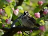 Filename=084_fotowilga~44.JPG
Filesize=239KB
Dimensions=700x525
Date added=May 03, 2017 084_fotowilga~44.JPG