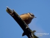 Filename=084_fotowilga~49.JPG
Filesize=55KB
Dimensions=640x480
Date added=Jun 11, 2017 084_fotowilga~49.JPG