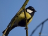 Filename=084_fotowilga~62.JPG
Filesize=203KB
Dimensions=700x525
Date added=Jan 30, 2018 084_fotowilga~62.JPG