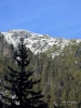 Filename=084_fotowilga~64.JPG
Filesize=339KB
Dimensions=525x700
Date added=Mar 02, 2018 084_fotowilga~64.JPG