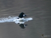 Filename=084_fotowilga~68.JPG
Filesize=252KB
Dimensions=700x525
Date added=Feb 06, 2019 084_fotowilga~68.JPG