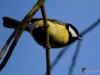 Filename=086_fotowilga~57.JPG
Filesize=211KB
Dimensions=700x525
Date added=Dec 11, 2017 086_fotowilga~57.JPG
