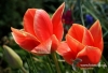 Filename=086_fotowilga~6.JPG
Filesize=112KB
Dimensions=720x493
Date added=May 17, 2014 086_fotowilga~6.JPG