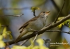 Filename=087_fotowilga~30.JPG
Filesize=69KB
Dimensions=640x457
Date added=Aug 02, 2016 087_fotowilga~30.JPG