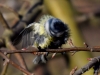Filename=087_fotowilga~53.JPG
Filesize=247KB
Dimensions=700x525
Date added=Feb 09, 2018 087_fotowilga~53.JPG