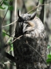 Filename=087_fotowilga~57.JPG
Filesize=260KB
Dimensions=525x700
Date added=Mar 16, 2018 087_fotowilga~57.JPG