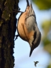 Filename=087_fotowilga~69.JPG
Filesize=237KB
Dimensions=525x700
Date added=Jul 04, 2019 087_fotowilga~69.JPG