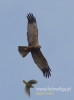 Filename=088_fotowilga~25.JPG
Filesize=36KB
Dimensions=357x480
Date added=Jun 11, 2016 088_fotowilga~25.JPG