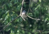 Filename=088_fotowilga~56.JPG
Filesize=248KB
Dimensions=700x500
Date added=Feb 02, 2019 088_fotowilga~56.JPG