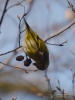 Filename=088_fotowilga~61.JPG
Filesize=231KB
Dimensions=525x700
Date added=May 15, 2019 088_fotowilga~61.JPG