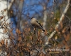 Filename=089_fotowilga~28.JPG
Filesize=104KB
Dimensions=600x480
Date added=Dec 02, 2016 089_fotowilga~28.JPG