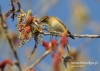 Filename=089_fotowilga~50.JPG
Filesize=98KB
Dimensions=640x457
Date added=Dec 10, 2017 089_fotowilga~50.JPG