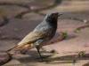 Filename=090_fotowilga~63.JPG
Filesize=270KB
Dimensions=700x525
Date added=Aug 05, 2018 090_fotowilga~63.JPG