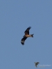 Filename=090_fotowilga~67.JPG
Filesize=177KB
Dimensions=525x700
Date added=Oct 21, 2019 090_fotowilga~67.JPG