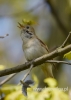 Filename=091_fotowilga~33.JPG
Filesize=46KB
Dimensions=343x480
Date added=Aug 02, 2016 091_fotowilga~33.JPG