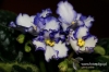 Filename=092_fotowilga.JPG
Filesize=111KB
Dimensions=720x480
Date added=Oct 23, 2012 092_fotowilga.JPG