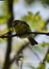 Filename=092_fotowilga~21.JPG
Filesize=67KB
Dimensions=343x480
Date added=Sep 25, 2015 092_fotowilga~21.JPG