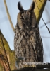 Filename=092_fotowilga~27.JPG
Filesize=82KB
Dimensions=343x480
Date added=Feb 11, 2016 092_fotowilga~27.JPG