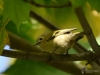 Filename=092_fotowilga~57.JPG
Filesize=240KB
Dimensions=700x525
Date added=Nov 05, 2018 092_fotowilga~57.JPG