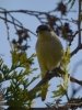Filename=092_fotowilga~61.JPG
Filesize=242KB
Dimensions=525x700
Date added=May 05, 2019 092_fotowilga~61.JPG