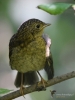 Filename=093_fotowilga~39.JPG
Filesize=262KB
Dimensions=525x700
Date added=Aug 02, 2019 093_fotowilga~39.JPG