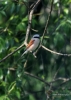 Filename=093_fotowilga~51.JPG
Filesize=235KB
Dimensions=499x700
Date added=Feb 09, 2019 093_fotowilga~51.JPG