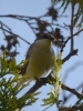 Filename=093_fotowilga~56.JPG
Filesize=239KB
Dimensions=525x700
Date added=May 09, 2019 093_fotowilga~56.JPG