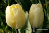 Filename=093_fotowilga~9.JPG
Filesize=265KB
Dimensions=720x493
Date added=Jul 28, 2014 093_fotowilga~9.JPG