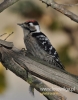 Filename=094_fotowilga~21.JPG
Filesize=81KB
Dimensions=377x480
Date added=Nov 03, 2015 094_fotowilga~21.JPG