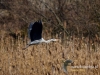 Filename=094_fotowilga~44.JPG
Filesize=106KB
Dimensions=640x480
Date added=Mar 05, 2017 094_fotowilga~44.JPG
