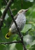 Filename=094_fotowilga~51.JPG
Filesize=230KB
Dimensions=494x700
Date added=Jul 06, 2017 094_fotowilga~51.JPG