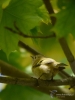 Filename=094_fotowilga~57.JPG
Filesize=240KB
Dimensions=525x700
Date added=Feb 20, 2019 094_fotowilga~57.JPG