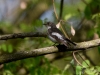 Filename=094_fotowilga~59.JPG
Filesize=274KB
Dimensions=700x525
Date added=Feb 27, 2019 094_fotowilga~59.JPG