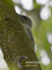 Filename=095_fotowilga~34.JPG
Filesize=56KB
Dimensions=360x480
Date added=Dec 07, 2016 095_fotowilga~34.JPG