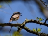 Filename=095_fotowilga~58.JPG
Filesize=240KB
Dimensions=700x525
Date added=May 01, 2018 095_fotowilga~58.JPG
