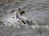 Filename=096_fotowilga~54.JPG
Filesize=314KB
Dimensions=700x525
Date added=Dec 10, 2017 096_fotowilga~54.JPG