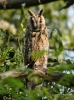 Filename=096_fotowilga~57.JPG
Filesize=285KB
Dimensions=519x700
Date added=Mar 20, 2018 096_fotowilga~57.JPG
